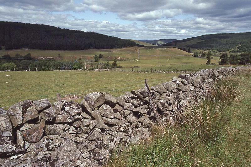 WT 3100 349-33 UK-3.jpg